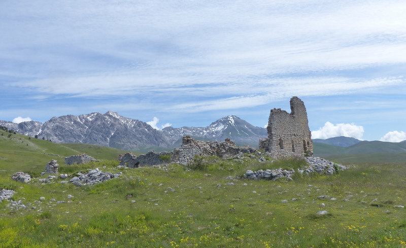 Orchidee a Campo Imperatore tra Medioevo e wilderness  primavera 2023